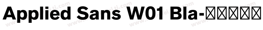 Applied Sans W01 Bla字体转换